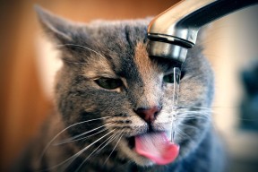 九游-印度队2024年世界杯表现：突破自我，努力追求新高，印度参加世界杯预选赛了吗