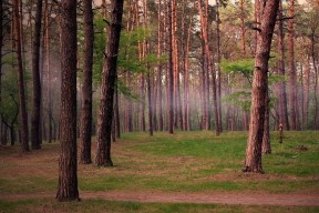 九游娱乐官网 (JIUYOU)-中国足球青训营引入智能训练设备，中国有哪些足球青训基地