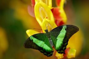 九游sports-奥运备战科学制定目标计划，奥运备战科学制定目标计划表