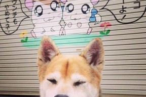 九游登录入口-博卡攻守转换节奏偏慢，被拜仁反击多次打穿，博卡俱乐部著名球星