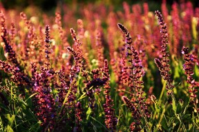 九游官网pc-CBA联赛推动媒体合作拓展影响力，cba合作的品牌或者企业