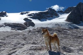 九游正版入口-“埃尔斯·霍斯特：南非羚羊队的关键中场英雄”