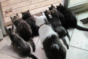 九游娱乐官网 (JIUYOU)-曼联引进新援目标直指中场补强计划，曼联最新引援目标