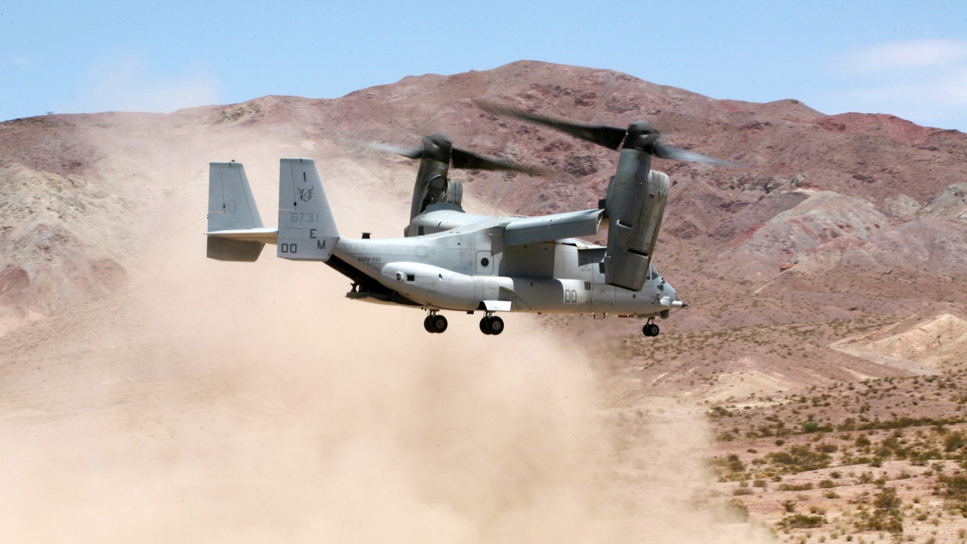 亚洲杯国家队战平 球迷理性看待比赛,亚洲杯足球国家