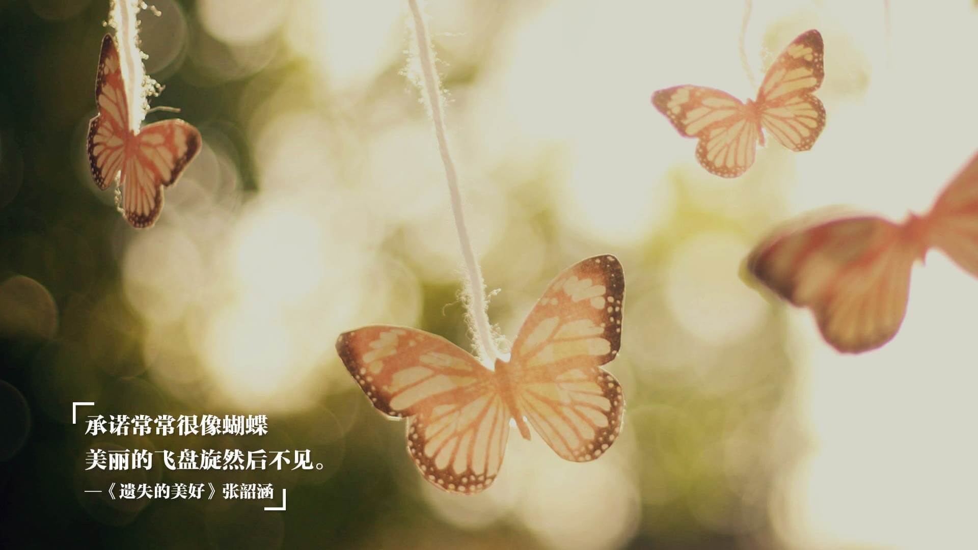 体育新闻中心与高校建立战略合作关系,体育新闻专题报道