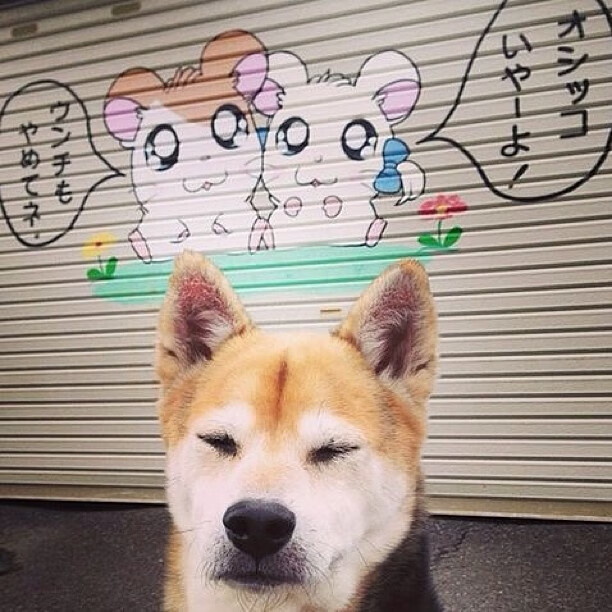 博卡攻守转换节奏偏慢,被拜仁反击多次打穿,博卡俱乐部著名球星