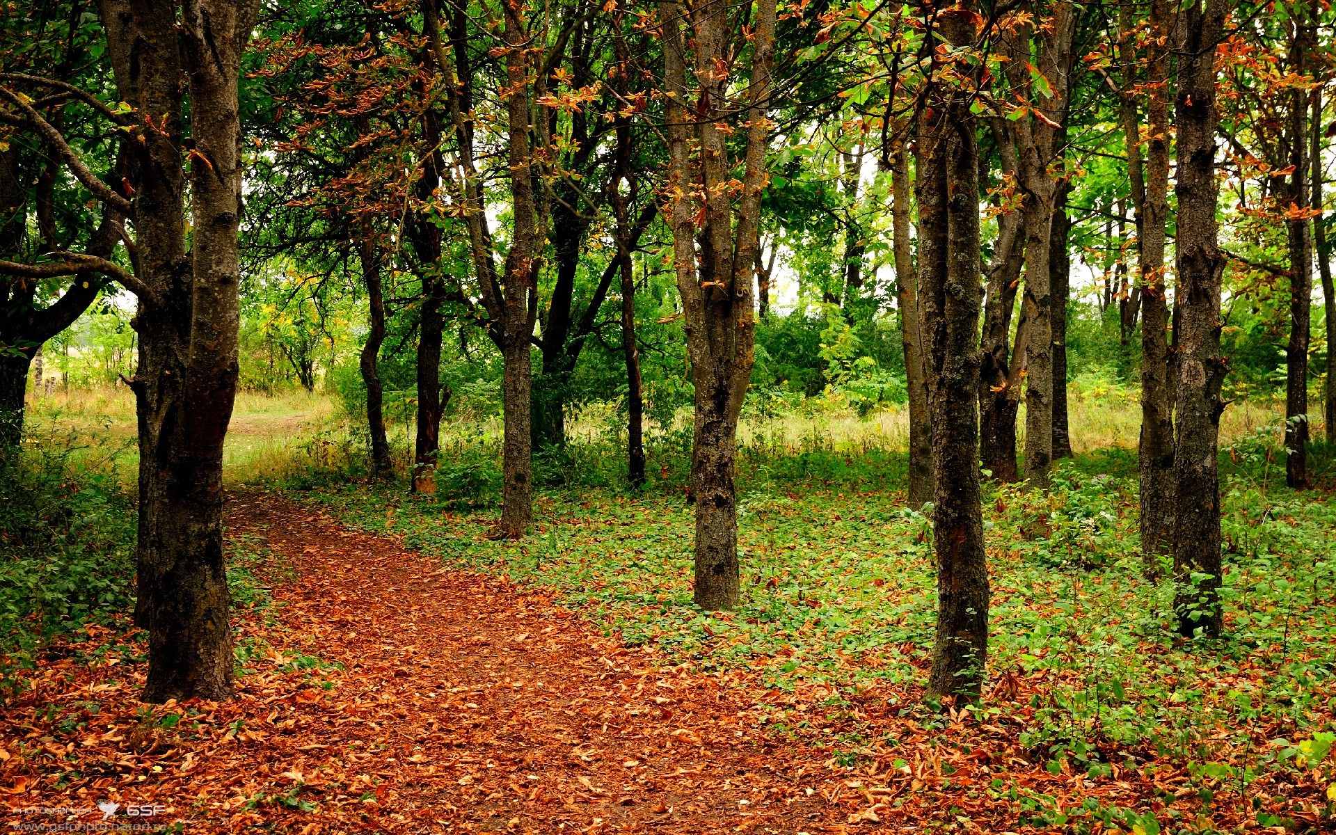 国际热身赛中国女足逆袭 球员斗志感染人心,2021女足热身赛