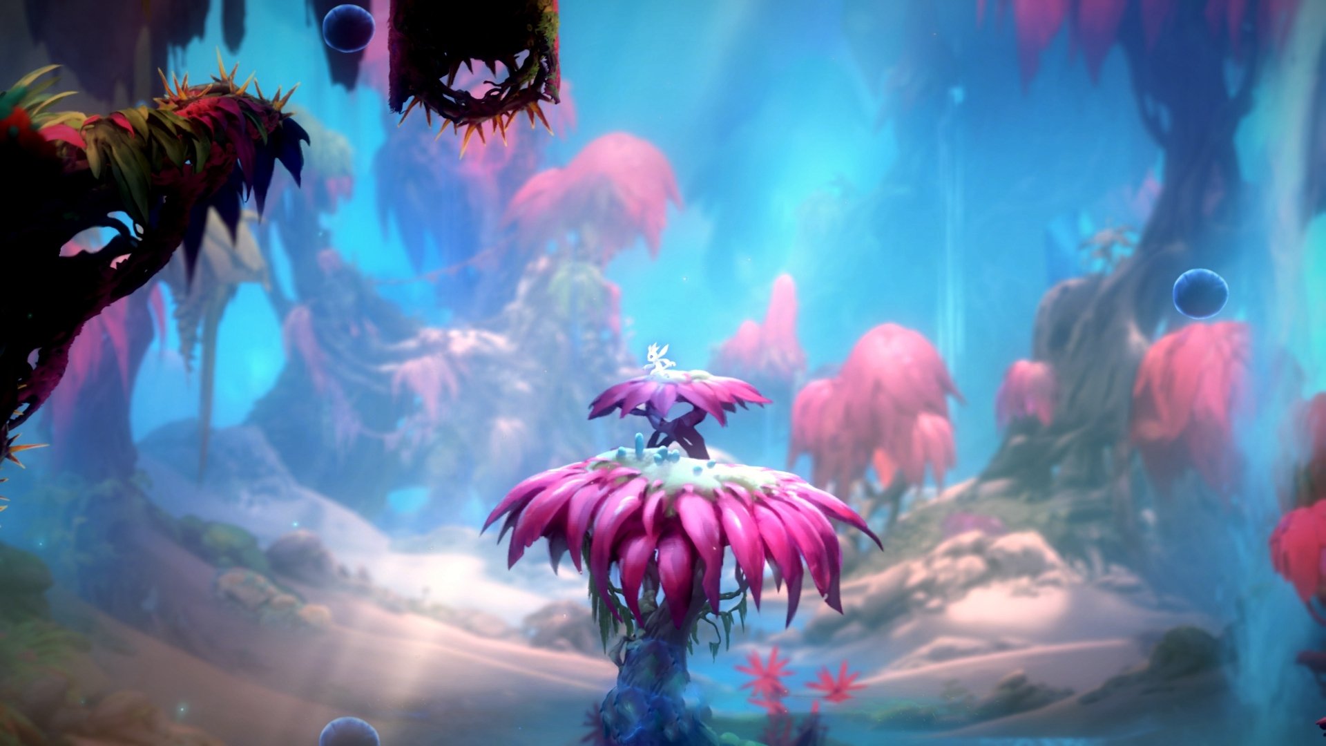 数据证实:自由泳划频并非越快越好,自由泳 划频