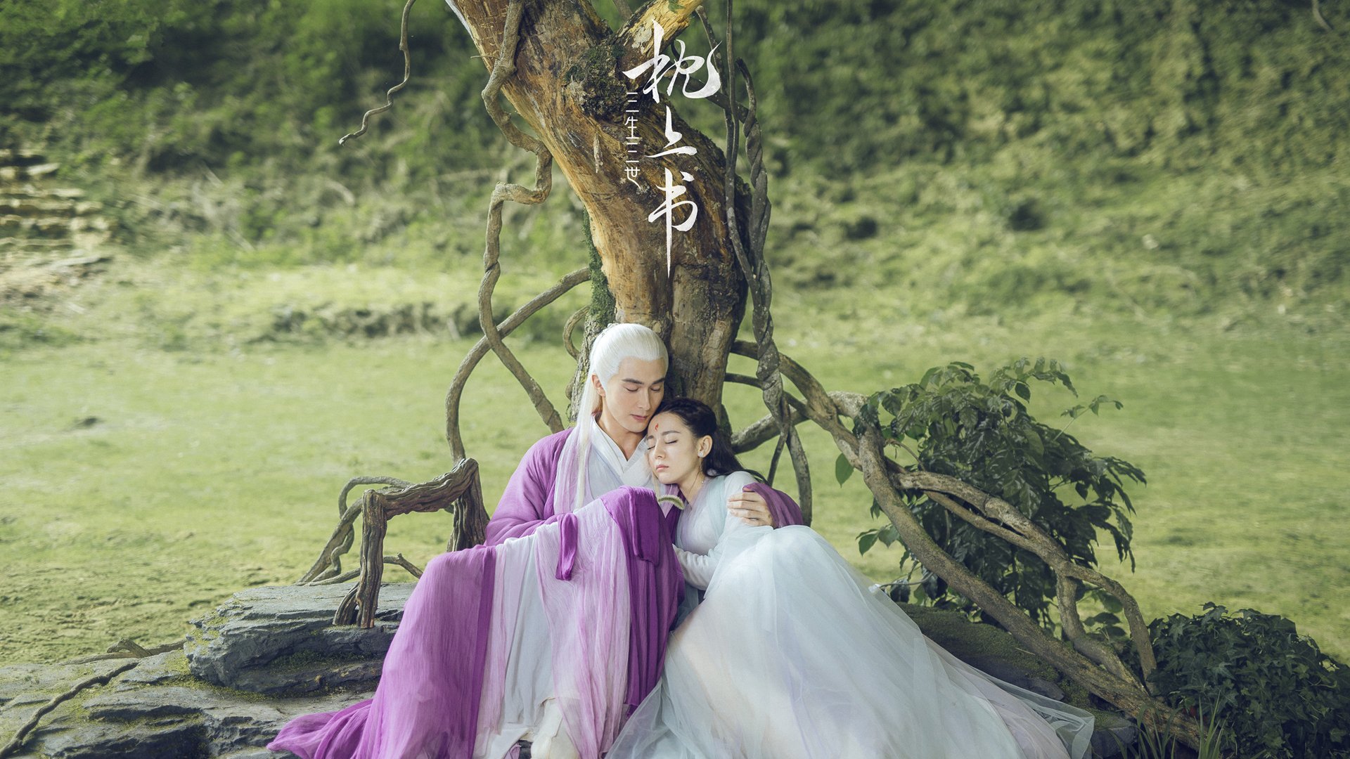 新加坡队赛制评析:通过合理安排,提升团队整体作战力,新加坡联赛