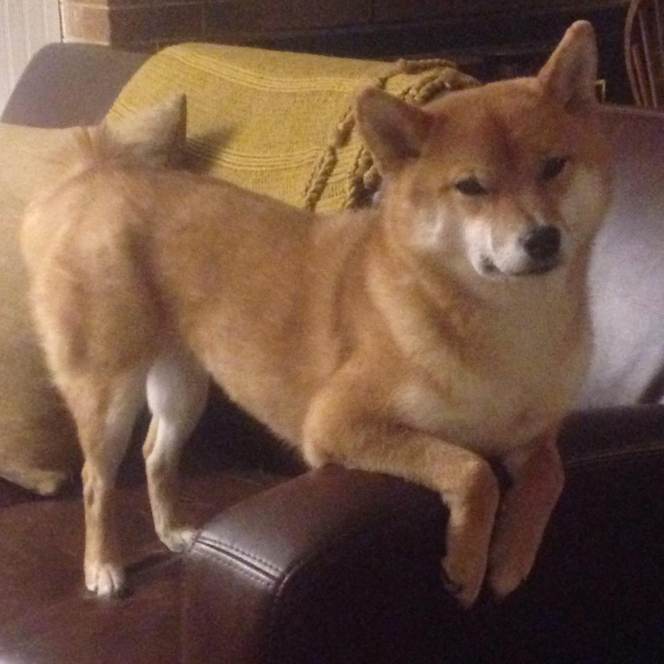 乌拉圭女篮在南美锦标赛中表现优异,体育事业不断发展,乌拉圭女子篮球联赛