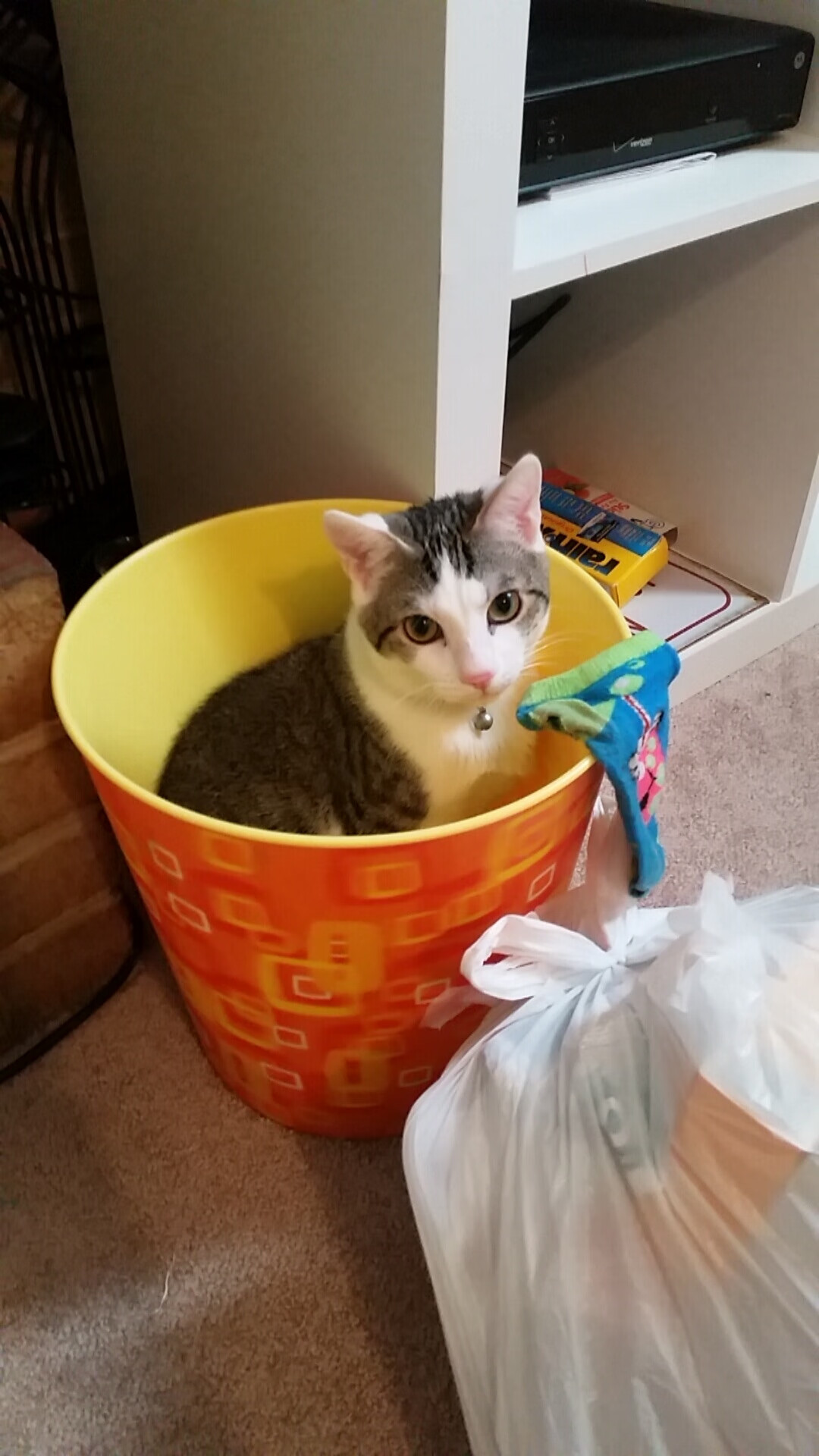 乌拉圭女篮在南美锦标赛中表现优异,体育事业不断发展,乌拉圭女子篮球联赛