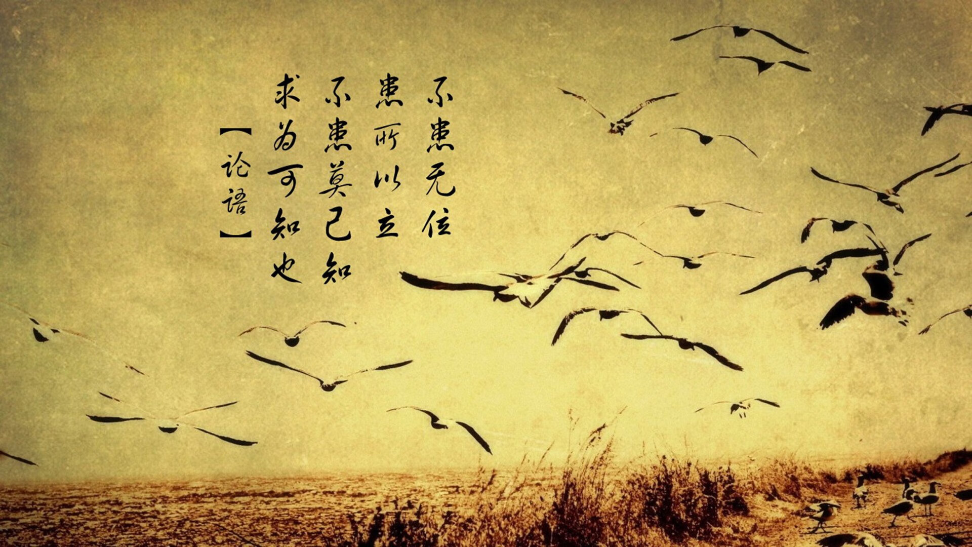 伊朗男篮在亚洲预赛中奋勇拼搏,向奥运金牌冲刺,伊朗男蓝